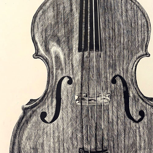 black and white line drawing of a bass violin center area.