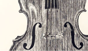 black and white line drawing of a bass violin center area.